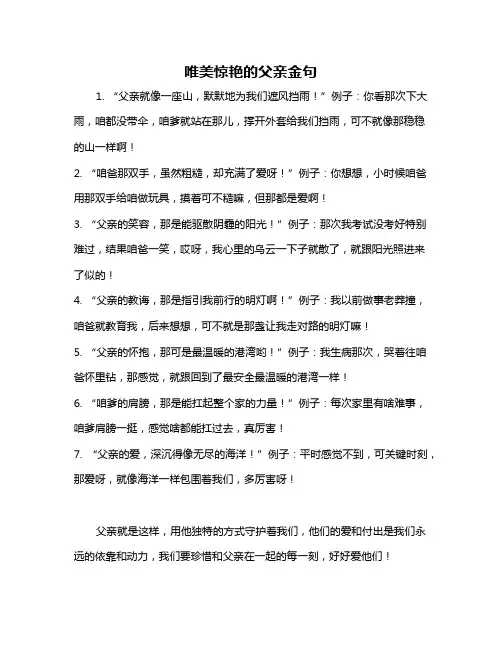 唯美惊艳的父亲金句