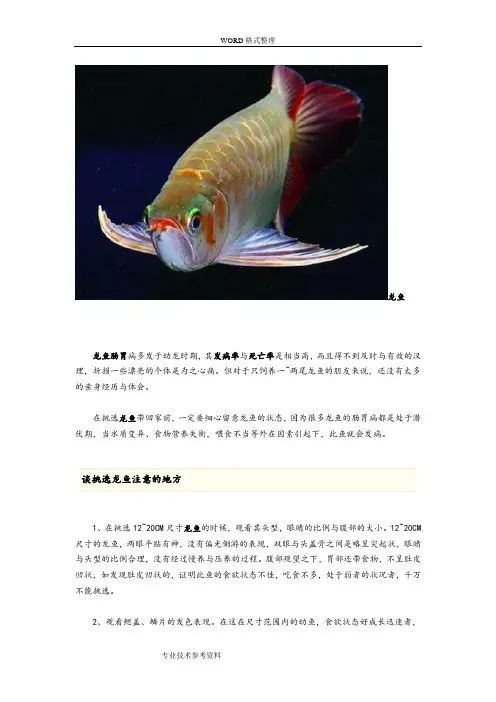 龙鱼疾病防治超全面知识大全
