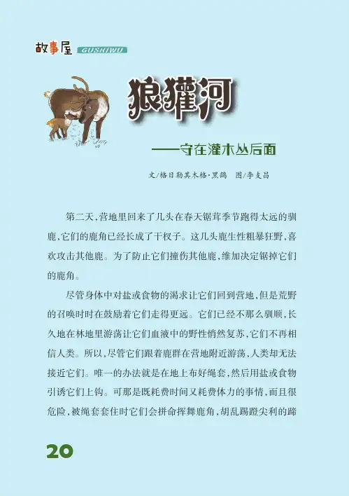 狼獾河——守在灌木丛后面