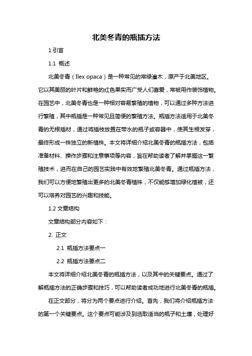 北美冬青的瓶插方法