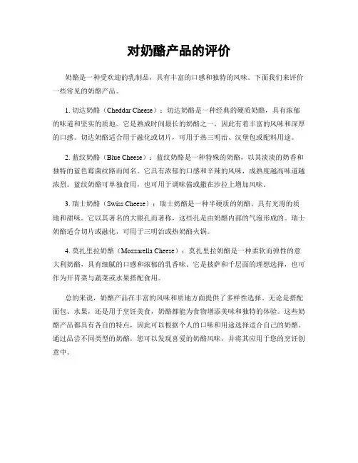 对奶酪产品的评价