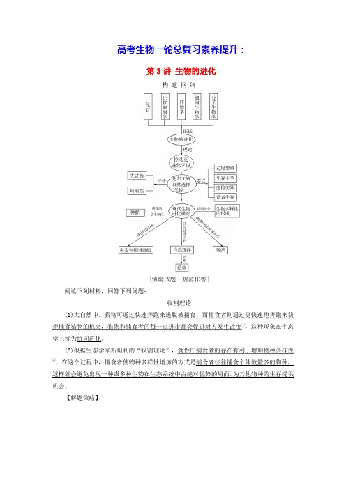2025版高考生物一轮总复习素养提升必修2生物的变异育种与进化第3讲生物的进化(含答案)