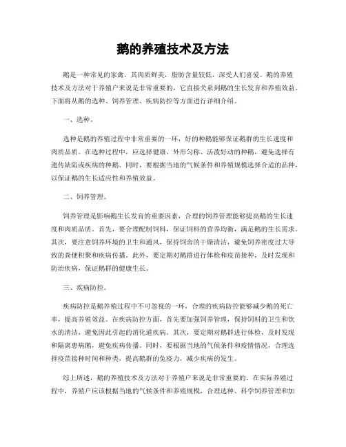 鹅的养殖技术及方法