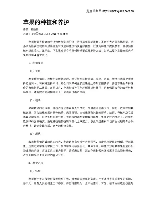 苹果的种植和养护