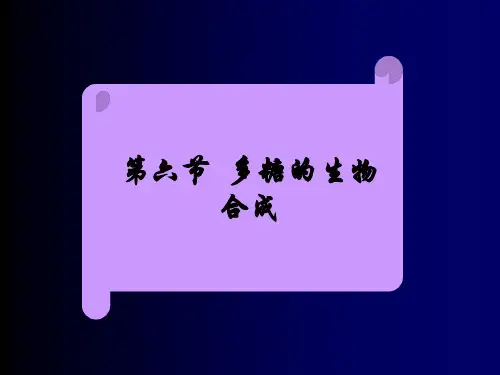 多糖合成