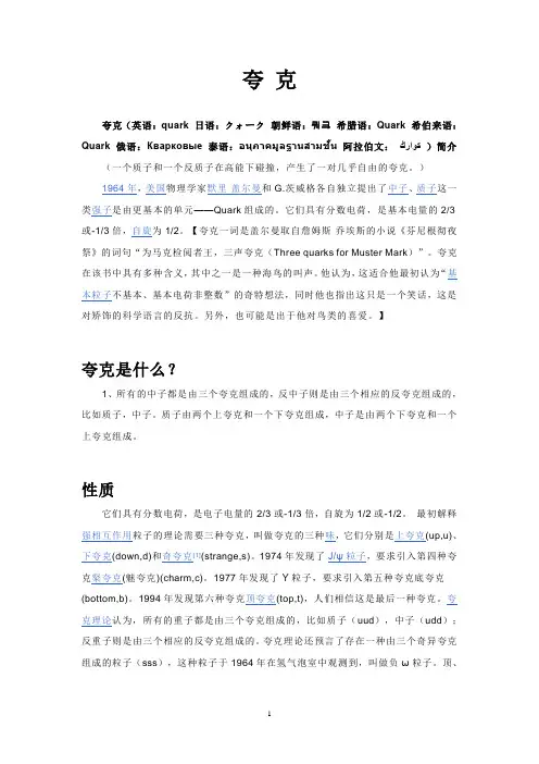 最小的粒子~夸克