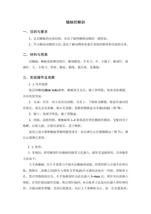 蟾蜍解剖实验(讲义)