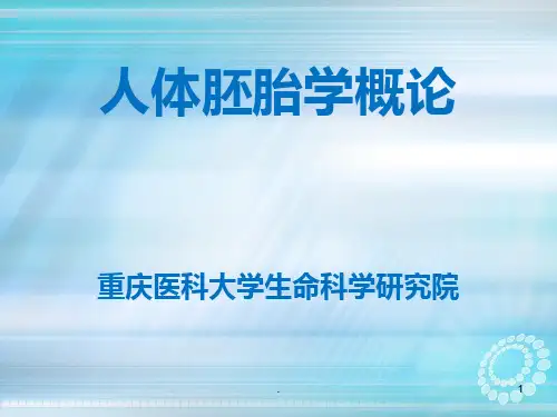 胚胎学概论ppt课件