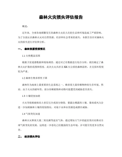 森林火灾损失评估报告