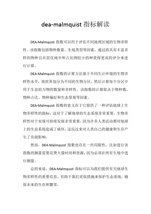 dea-malmquist指标解读