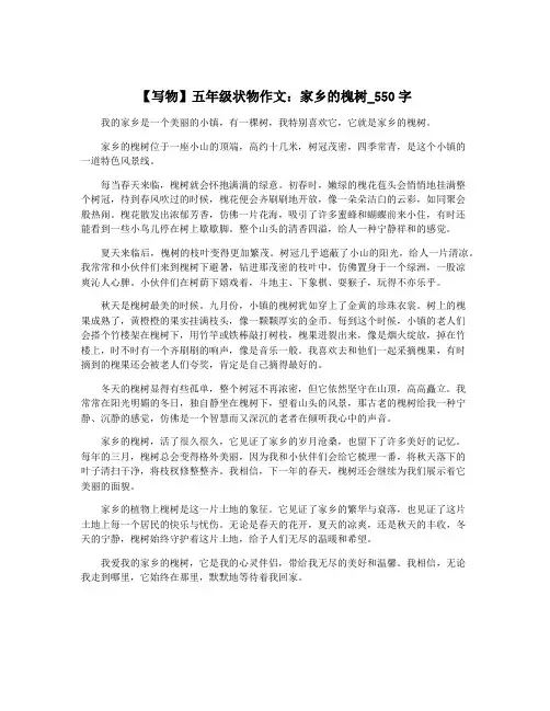 【写物】五年级状物作文：家乡的槐树_550字