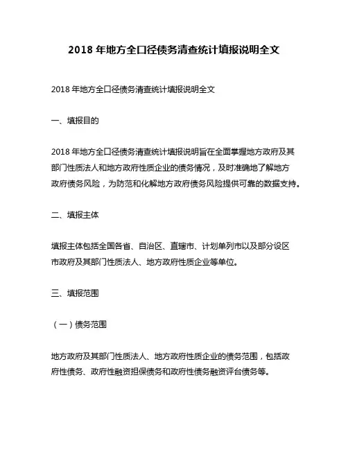2018年地方全口径债务清查统计填报说明全文