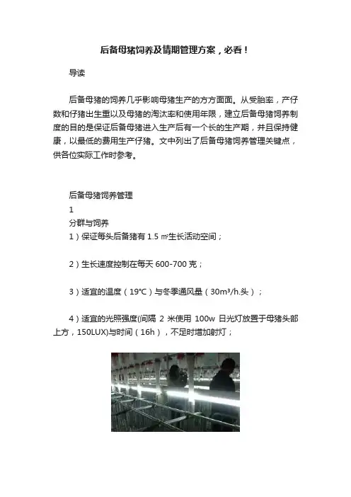 后备母猪饲养及情期管理方案，必看！