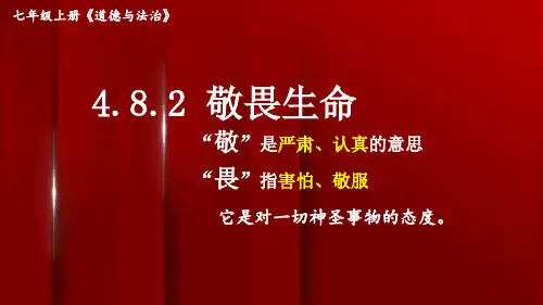 七年级道德与法治上册教学课件《敬畏生命》