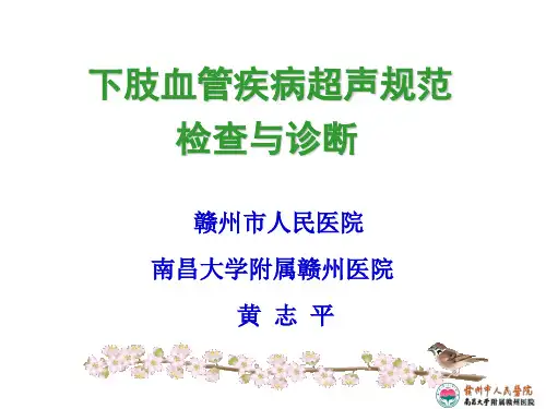 下肢血管超声规范检查与诊断