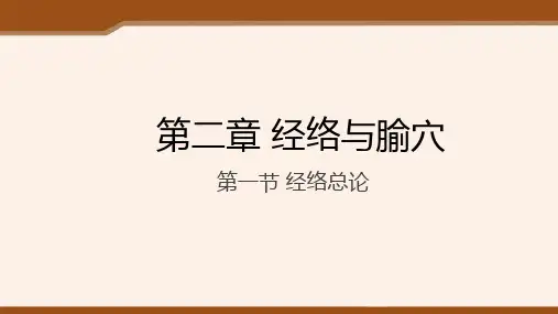 针灸学经络总论