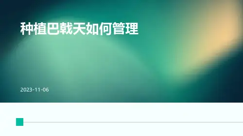 种植巴戟天如何管理