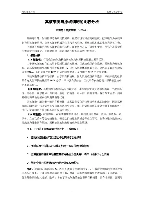 真核细胞与原核细胞的比较分析