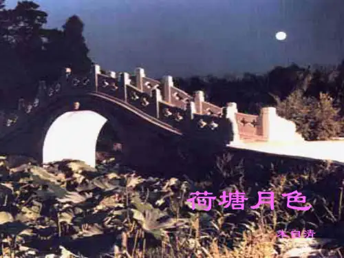 第四专题《荷塘月色》课件(苏教版)