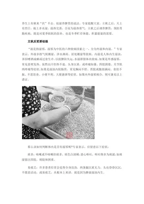立秋后吃一物祛湿养脾胃