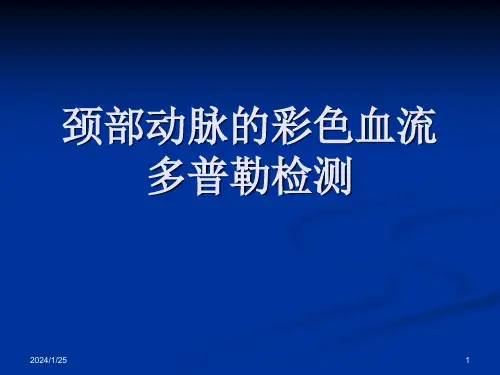 颈部动脉彩超PPT课件