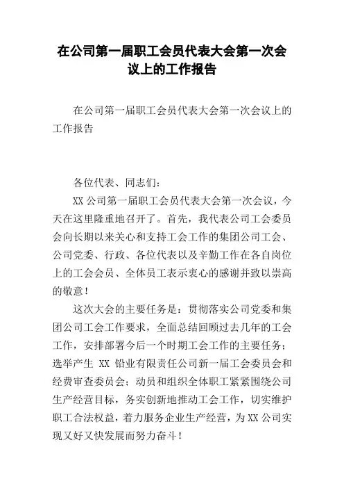在公司第一届职工会员代表大会第一次会议上的工作报告