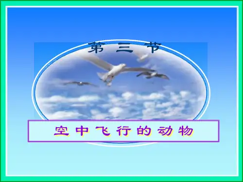 豪华版《空中飞行的动物》绝对原创说课PPT课件