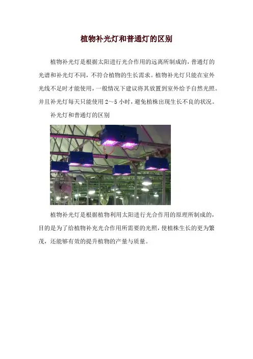 植物补光灯和普通灯的区别
