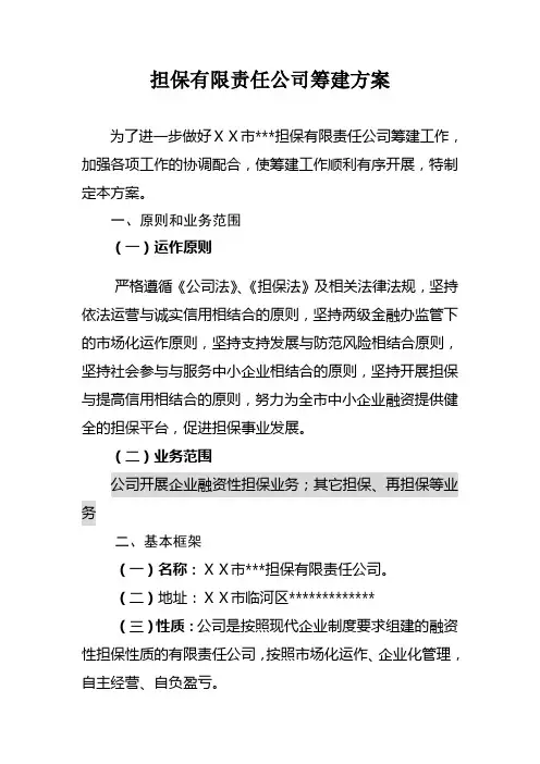 担保有限责任公司筹建方案