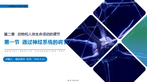 (通过神经系统的调节)人教版高中生物必修三教学课件