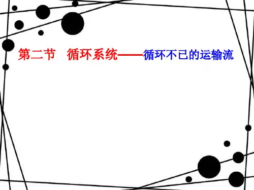 人体八大系统之循环系统讲解