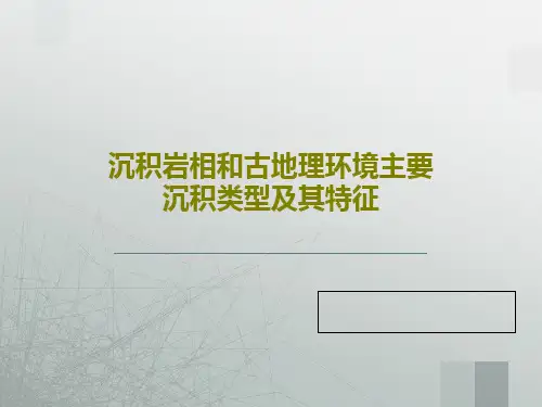 沉积岩相和古地理环境主要沉积类型及其特征共27页文档