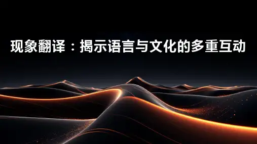 现象翻译资料