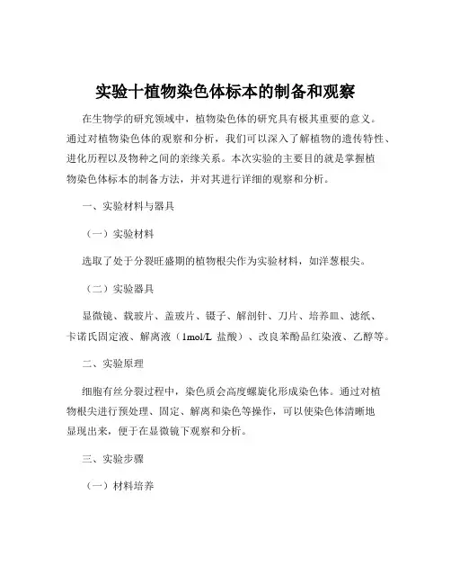 实验十植物染色体标本的制备和观察