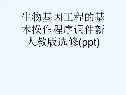 生物基因工程的基本操作程序课件新人教版选修(ppt)