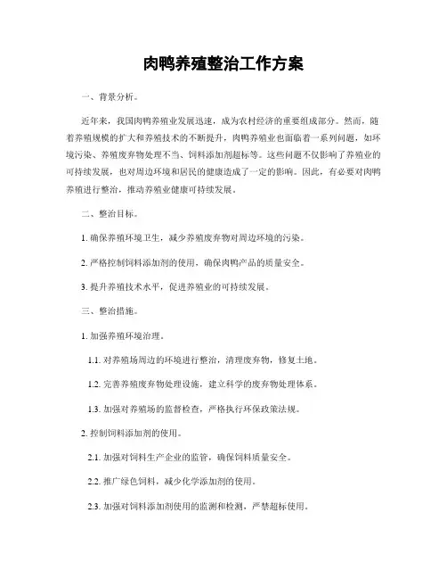 肉鸭养殖整治工作方案