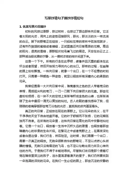 写景抒情句子摘抄抒情短句