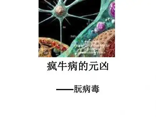 山东版必修1《课外阅读疯牛病与朊病毒》ppt课件