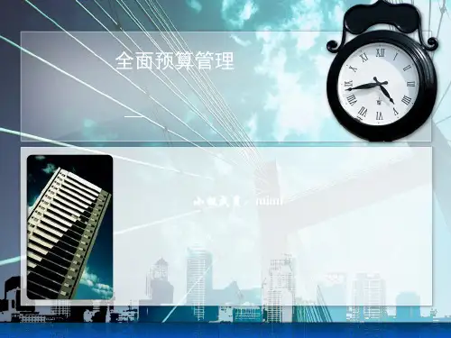 管理会计全面预算案例分析ppt课件