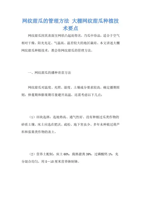 网纹甜瓜的管理方法 大棚网纹甜瓜种植技术要点
