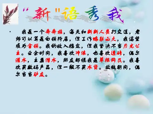 新词新语与流行文化ppt33 人教课标版