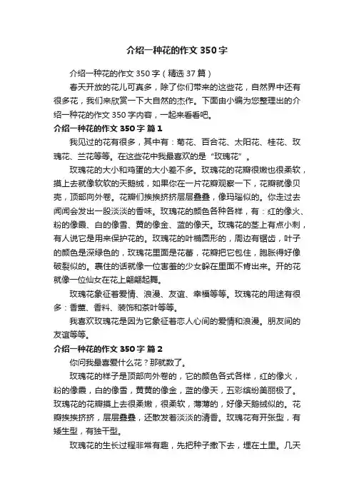 介绍一种花的作文350字