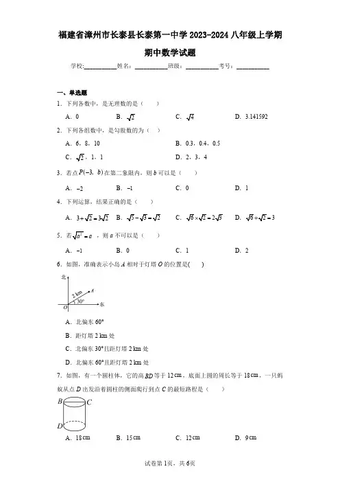 福建省漳州市长泰县长泰第一中学2023-2024八年级上学期期中数学试题