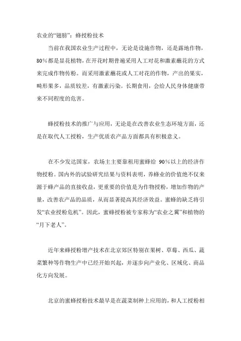 农业的“翅膀”：蜂授粉技术