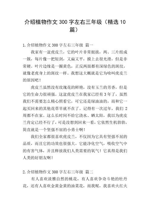 介绍植物作文300字左右三年级(精选10篇)