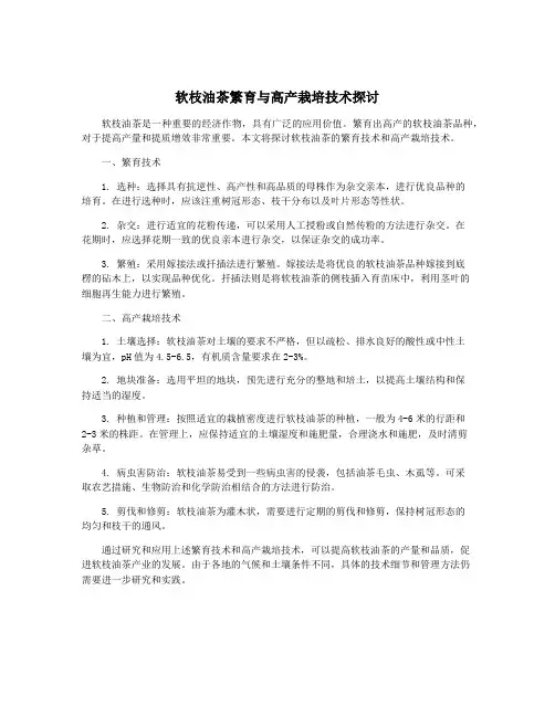 软枝油茶繁育与高产栽培技术探讨