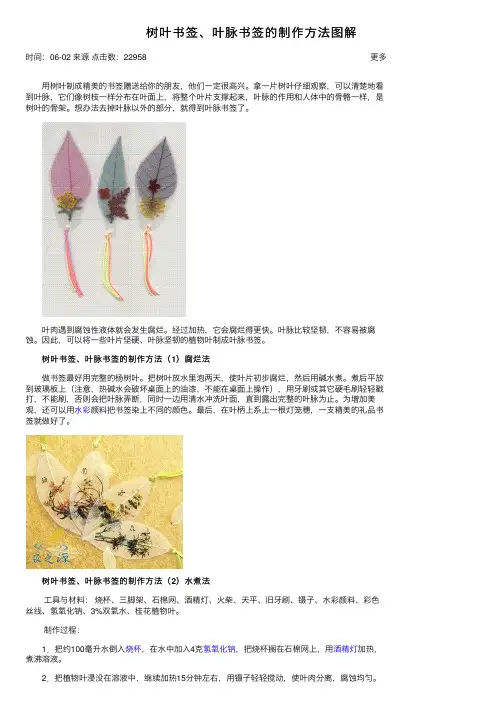 树叶书签、叶脉书签的制作方法图解