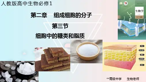 人教版高中生物新教材  必修1分子与细胞  第2章第3节 细胞中的糖类和脂质