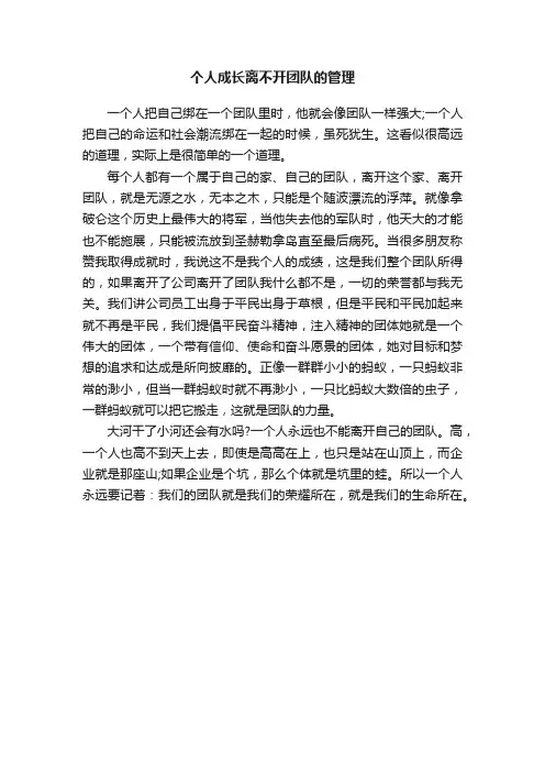 个人成长离不开团队的管理