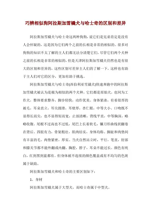 巧辨相似狗 阿拉斯加雪橇犬与哈士奇的区别和差异
